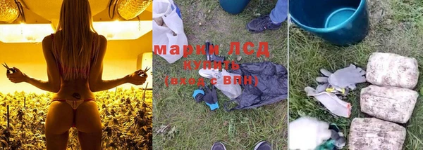 spice Белокуриха
