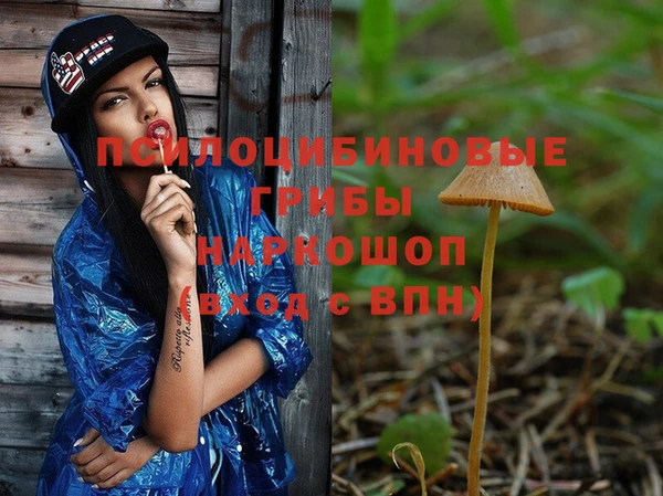 стафф Беломорск
