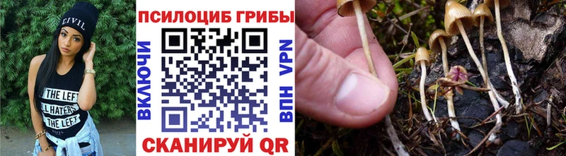 Галлюциногенные грибы Psilocybine cubensis  ссылка на мегу ссылка  Володарск  купить наркотик 