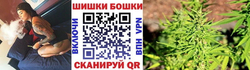 Канабис планчик  блэк спрут зеркало  Володарск 